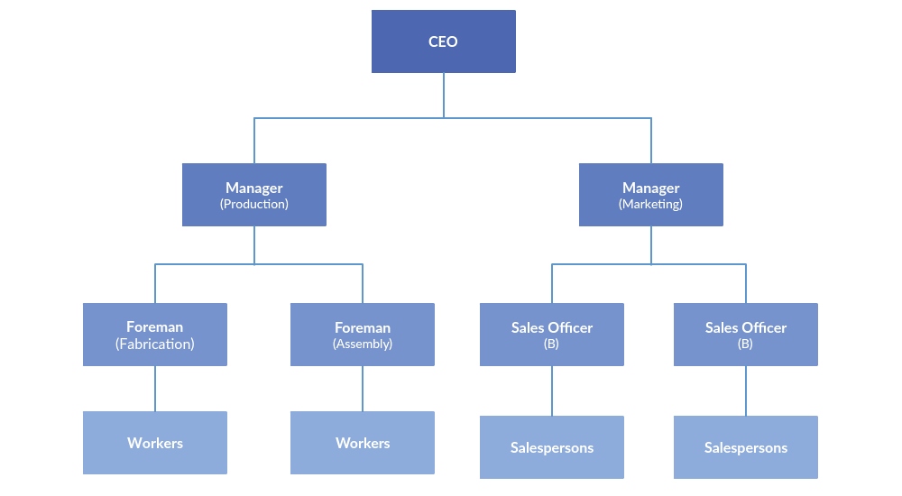 How does an organizational chart work?